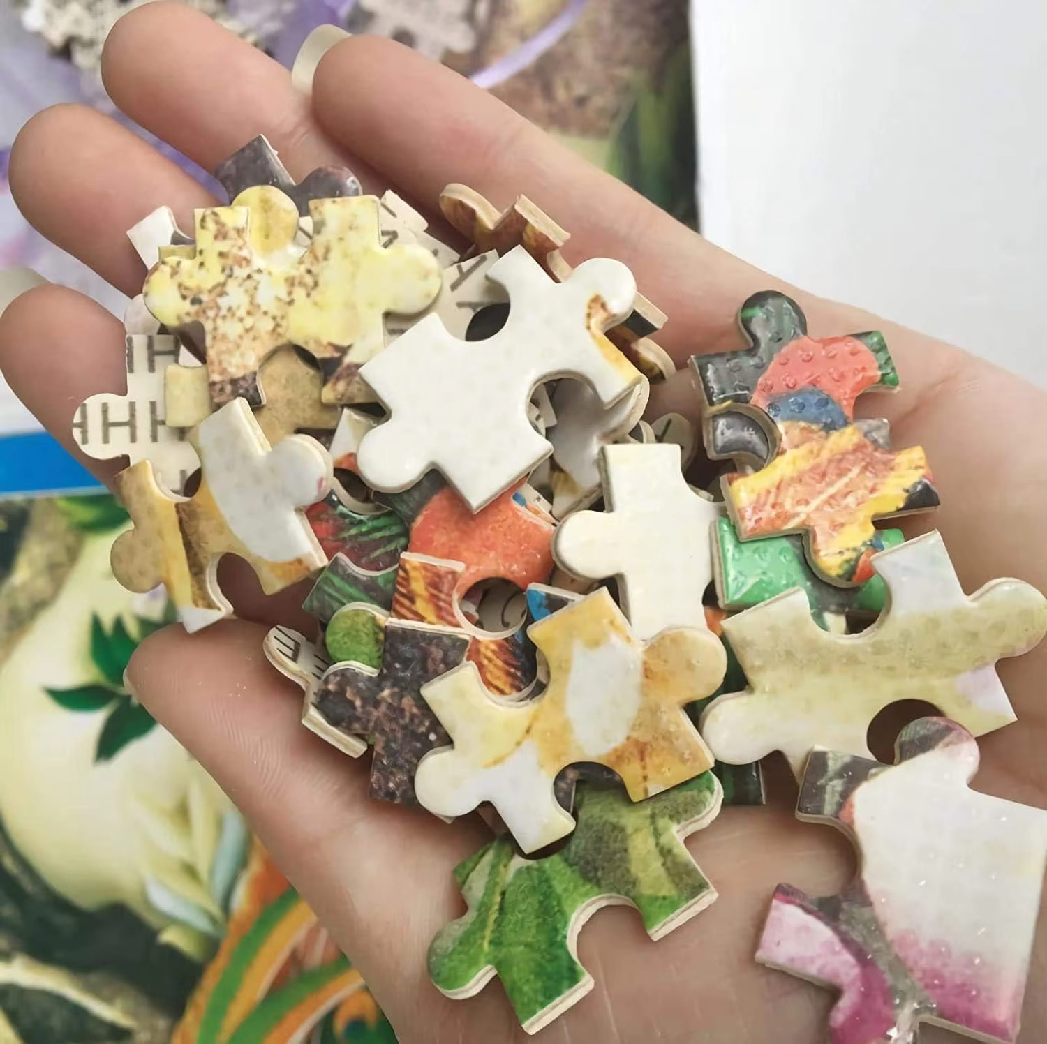 500/1000/1200/2000 PCS Jigsaw  - Mountain Biking Game บทวิจารณ์และราคา