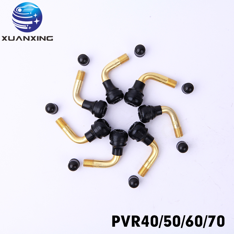 100PCS PVR70 PVR40 PVR50 PVR60 - Tubeless Valve Core บทวิจารณ์และราคา